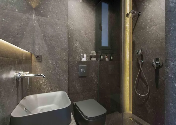 The Collection | Scala サン・セバスティアン